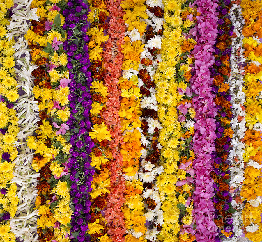 Flower Photograph - Indian Flower Garlands  by Tim Gainey