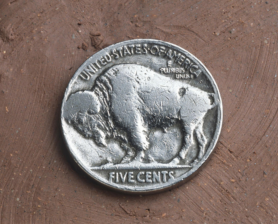Indian Headbuffalo Nickel Photograph by Charles D. Winters