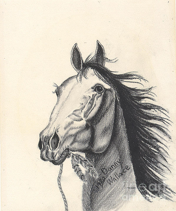Indian Horse Drawing by D Wallace