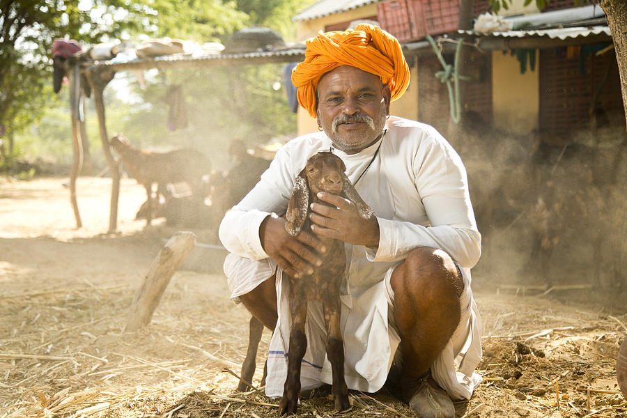 Indian man with goat Photograph by Triloks