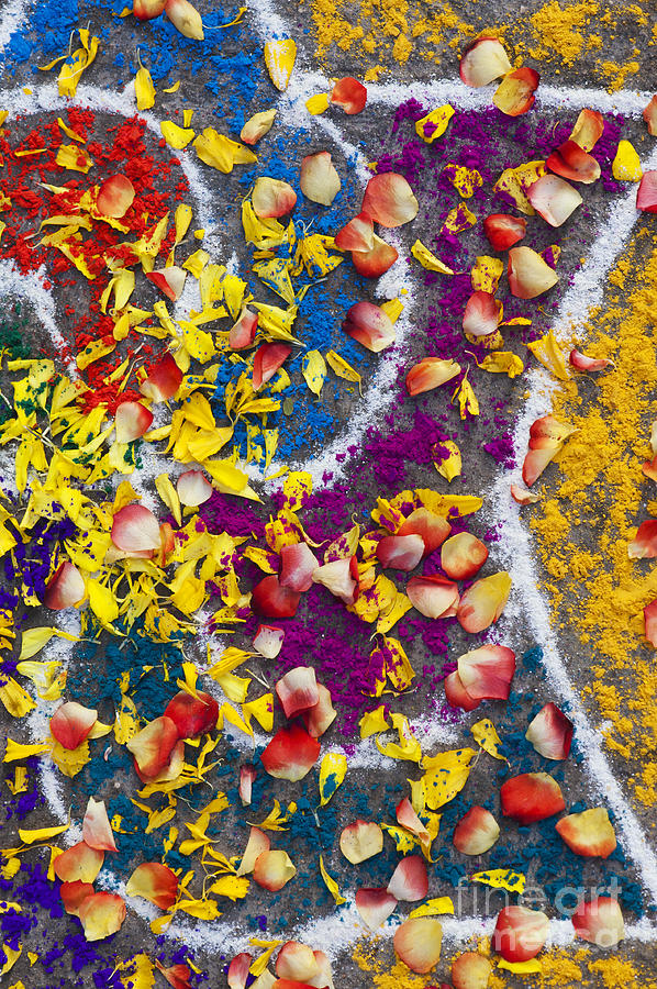 Pattern Photograph - Indian Rangoli with flower petals by Tim Gainey