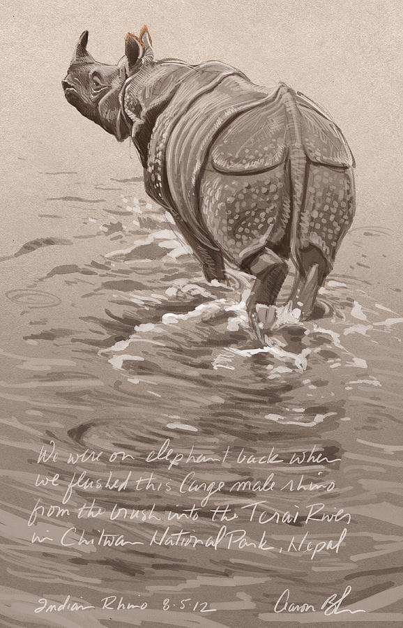 Indian Rhino Digital Art by Aaron Blaise