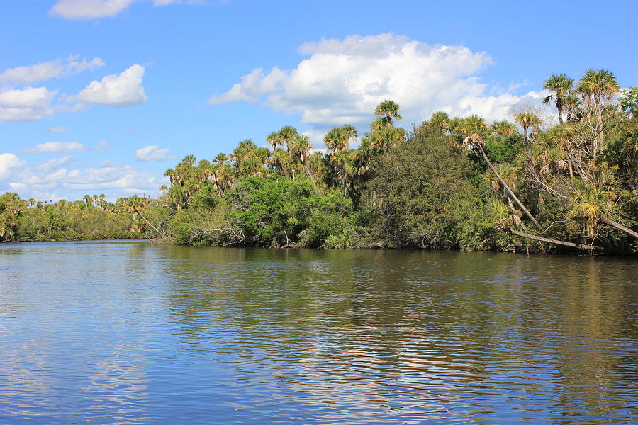 Indian River Lagoon Photograph by Cynthia N Couch - Fine Art America