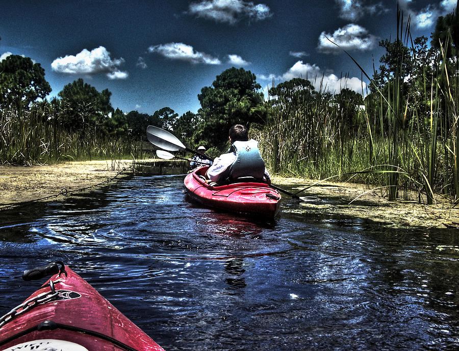 Tree Photograph - Indian River Lagoon Kayaking by Deborah Klubertanz
