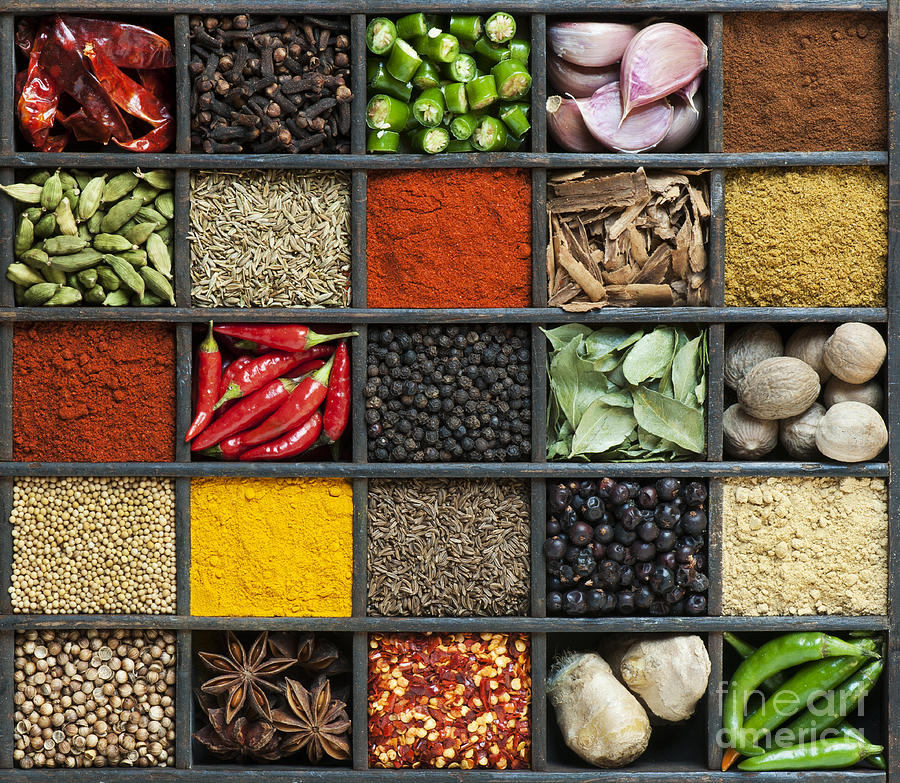 Pattern Photograph - Indian Spice Grid by Tim Gainey