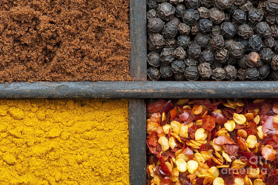 Indian Spices Pattern Photograph by Tim Gainey