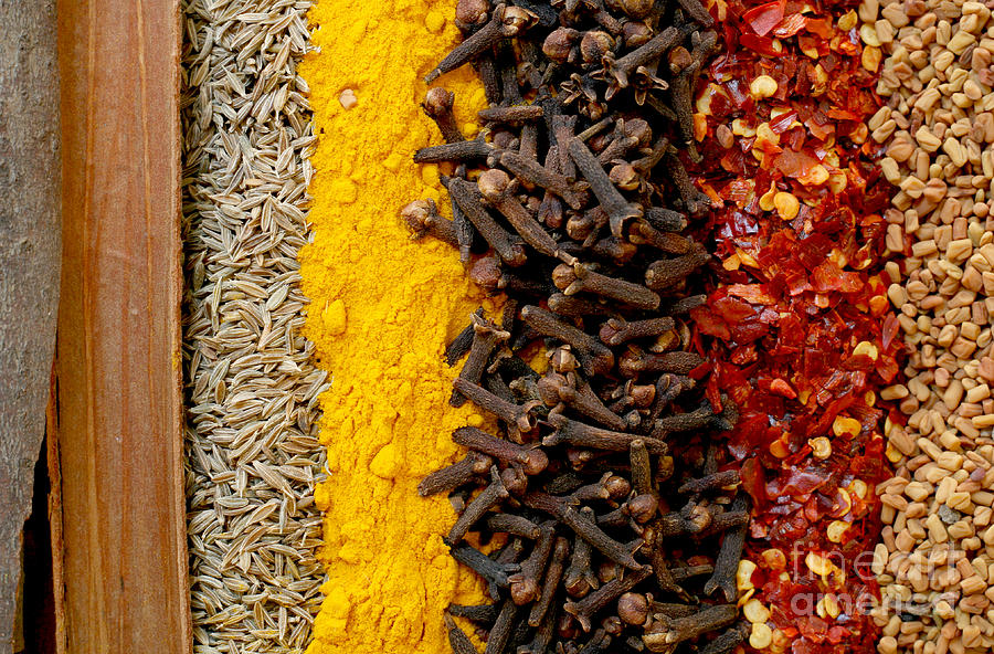 Indian spices Photograph by Paul Cowan