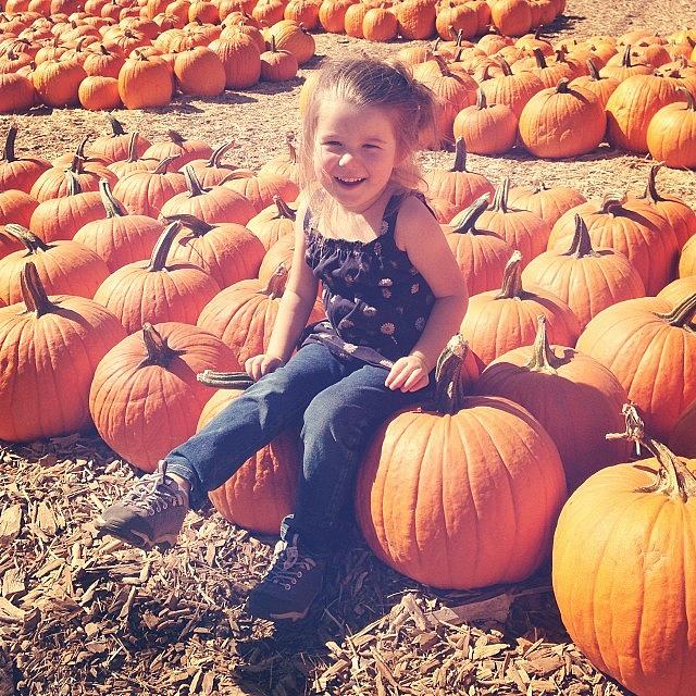 Indian Summer At The Pumpkin Farm Photograph by Jenny Cooper