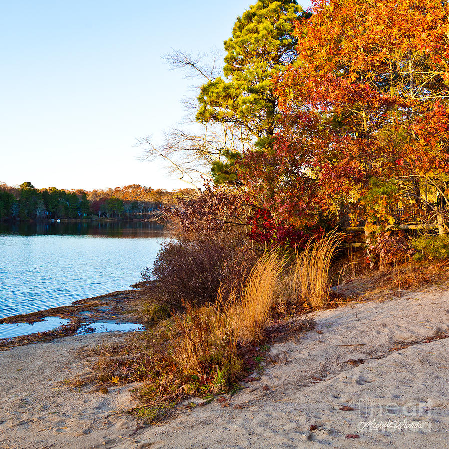 Fall Photograph - Indian Summer by Michelle Constantine