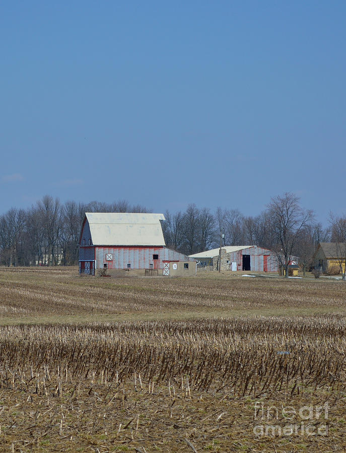 Indiana Barns Photograph by Alys Caviness-Gober