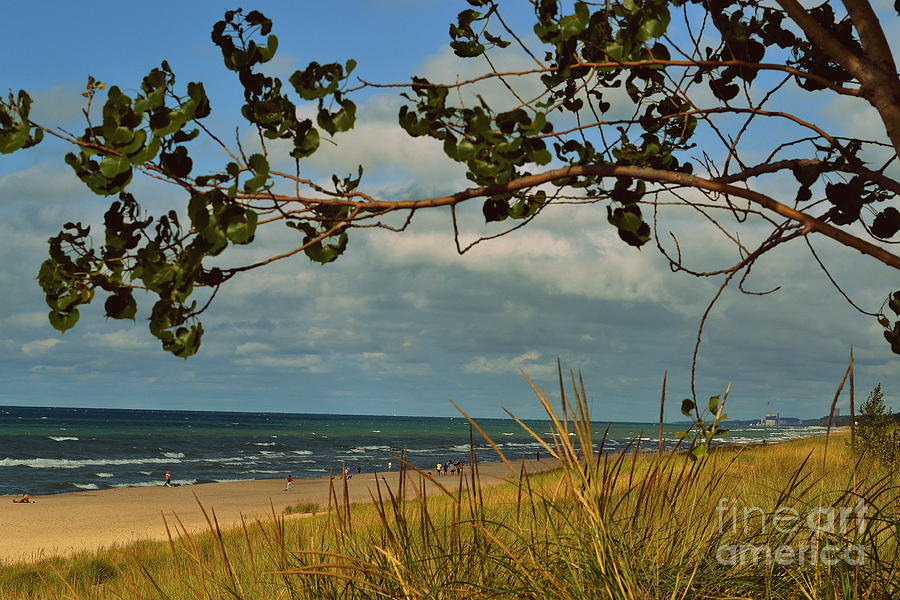 Indiana Dunes National Lakeshore Photograph - Indiana Dunes Fauna Beachscape by Amy Lucid