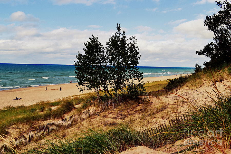 Indiana Dunes Two Tree Beachscape Photograph by Amy Lucid