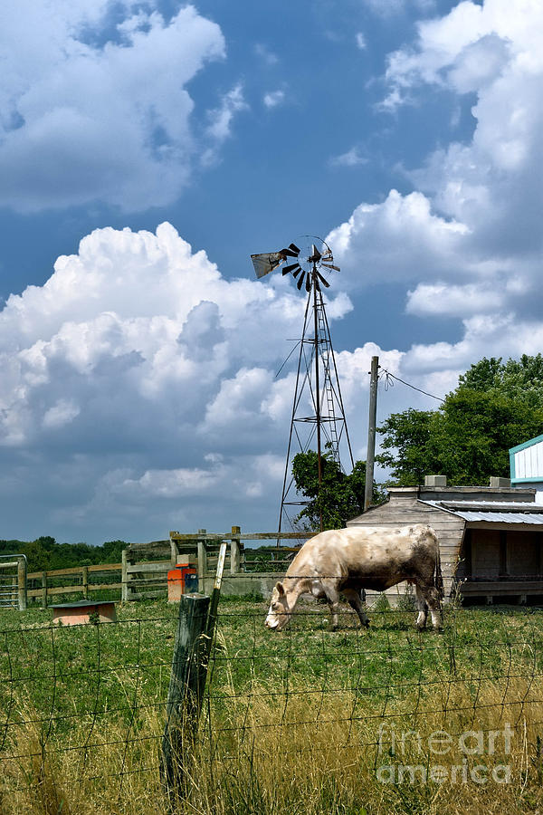 Indiana Farm Scene Photograph by Amy Cicconi