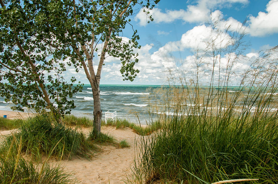 Indiana Sand Dunes State Park Photograph by Gene Sherrill