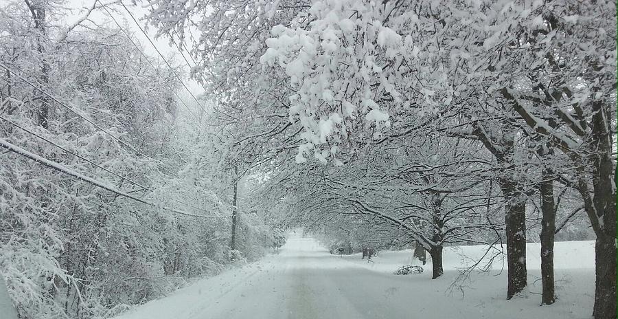 Indiana Snow Photograph by Ryan Wadsworth