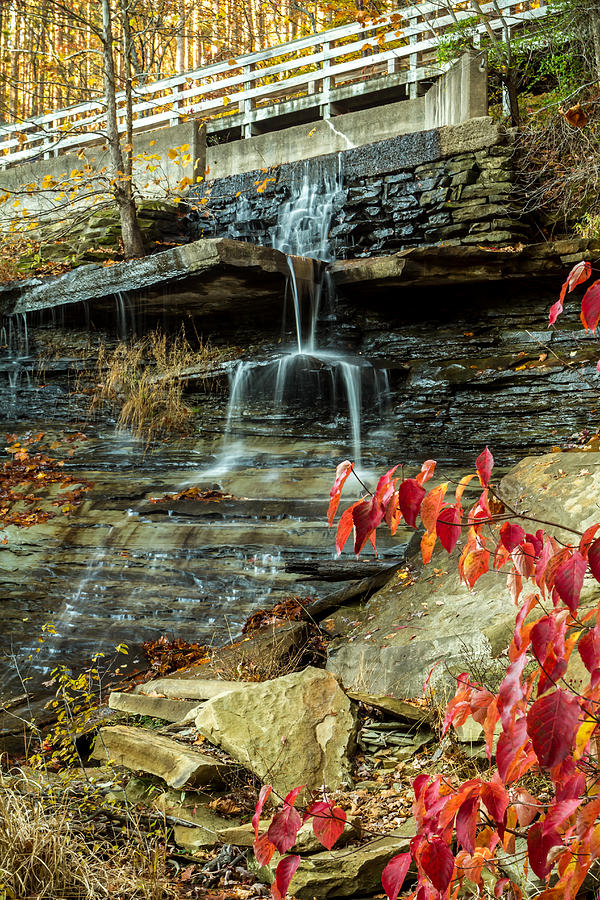 Indiana - Strahl Lake Waterfall - Brown County State Park Photograph by Ron Pate