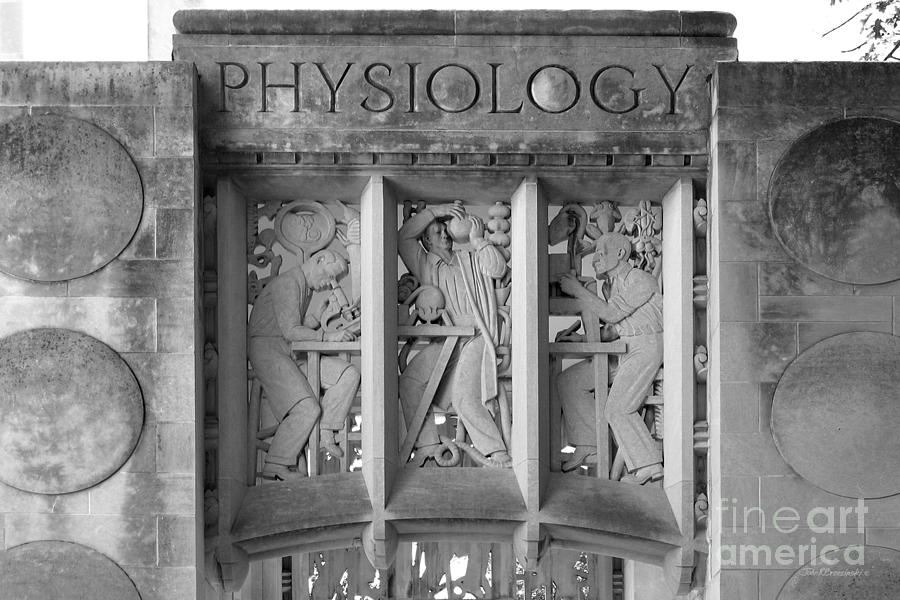 Breaking Away Photograph - Indiana University Myers Hall Physiology by University Icons