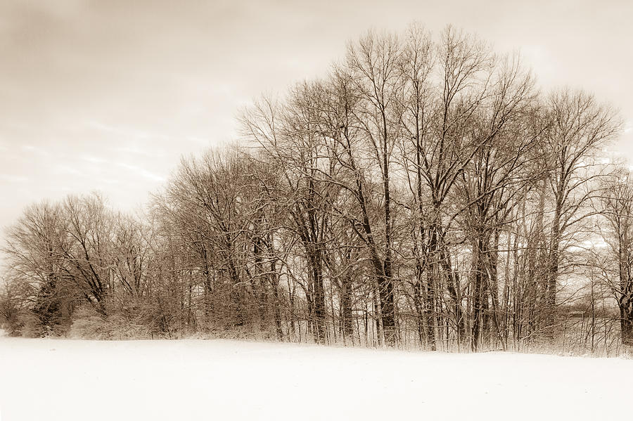 Indiana Winter at Freedom Park - Horizontal Photograph by Ron Pate