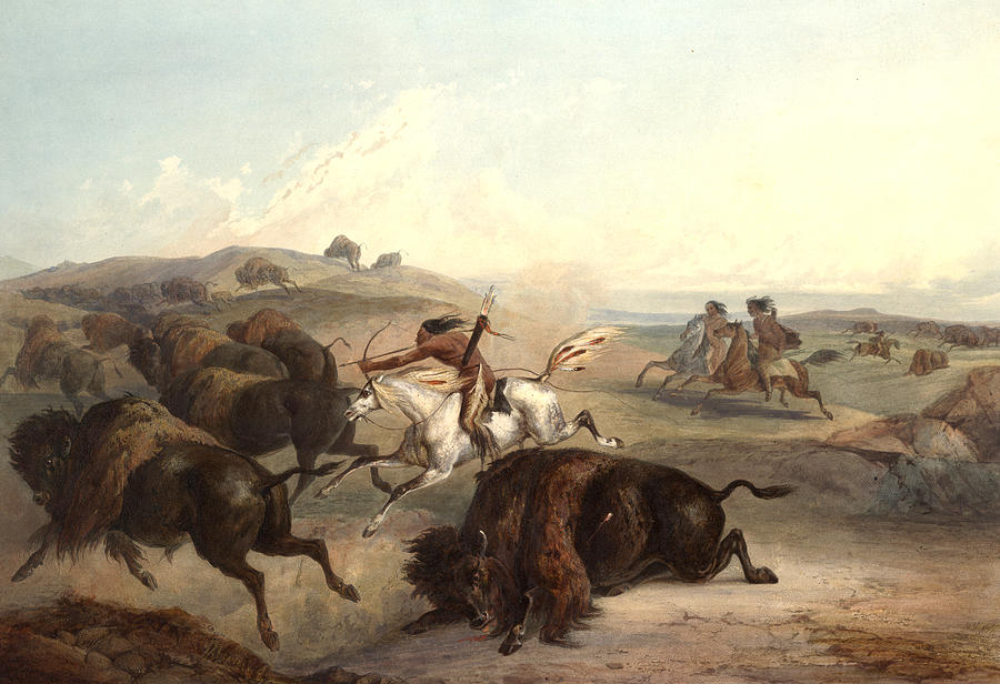 Native American hunting a buffalo or bison with bow and arrow 107
