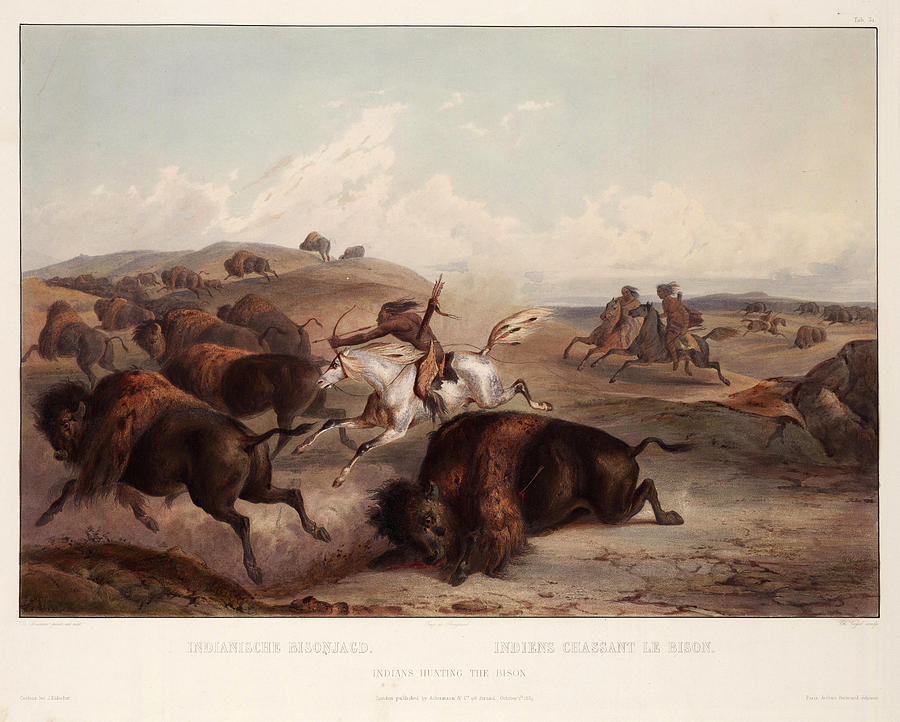 Indians on horseback hunting the Buffalo Drawing by Karl Bodmer