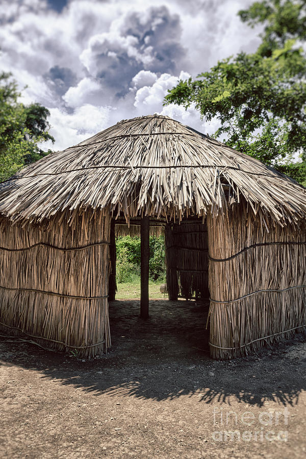 Indigenous Tribe Huts in Puer Photograph by Bryan Mullennix