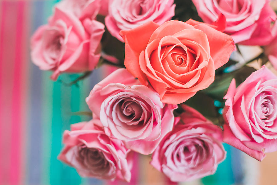Individuality Concept Pink Roses In A Vase Photograph by Jena Ardell