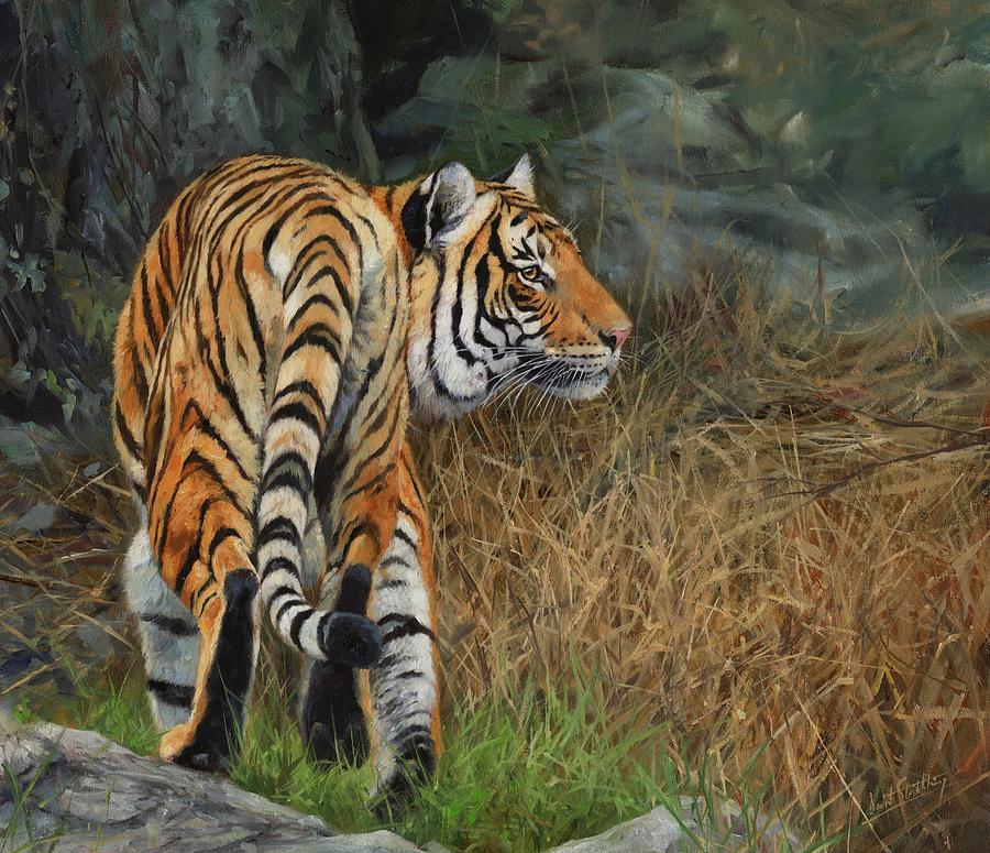 Indo-Chinese Tiger Painting by David Stribbling