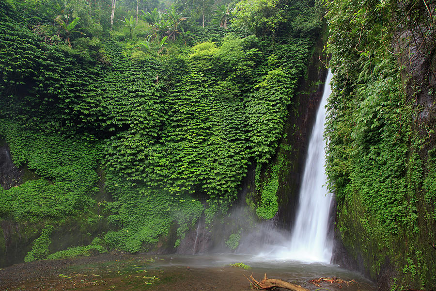 Indonesia, Bali, Waterfall Photograph by Michele Falzone