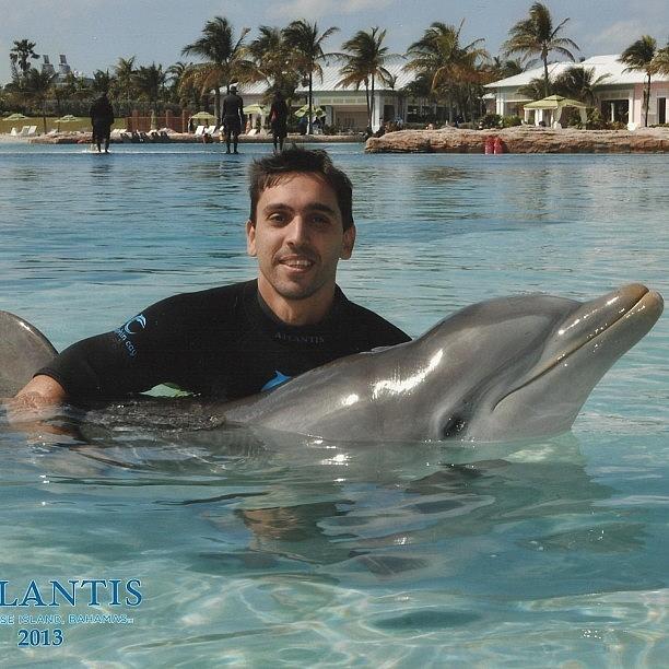 Dolphin Photograph - 🐬inesquecível #mergulho Com Os by Bruno Leo