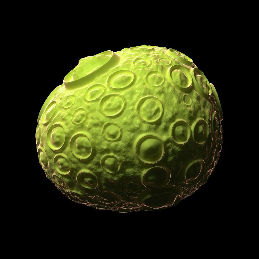 Infectious Salmon Anaemia Virus Particle Photograph by Sciepro/science