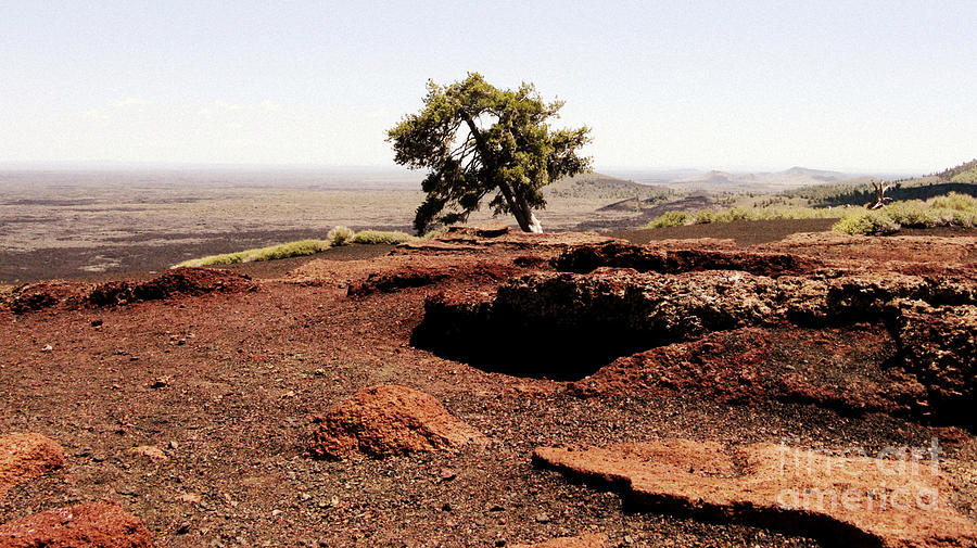 Craters Of The Moon National Monument Photograph - Inferno Cone by Patricia Januszkiewicz