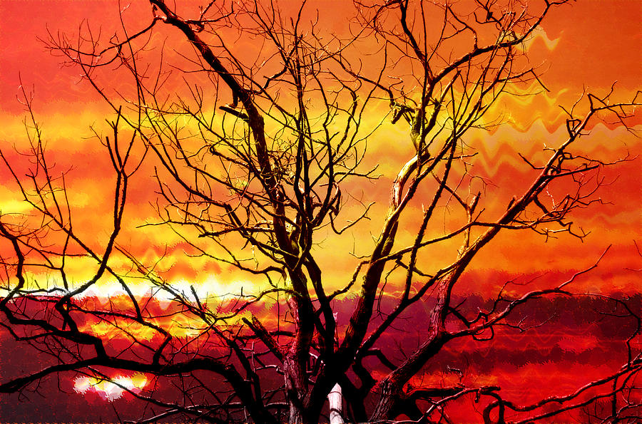 Sunset Digital Art - Inferno in the Sky by Shawna Rowe