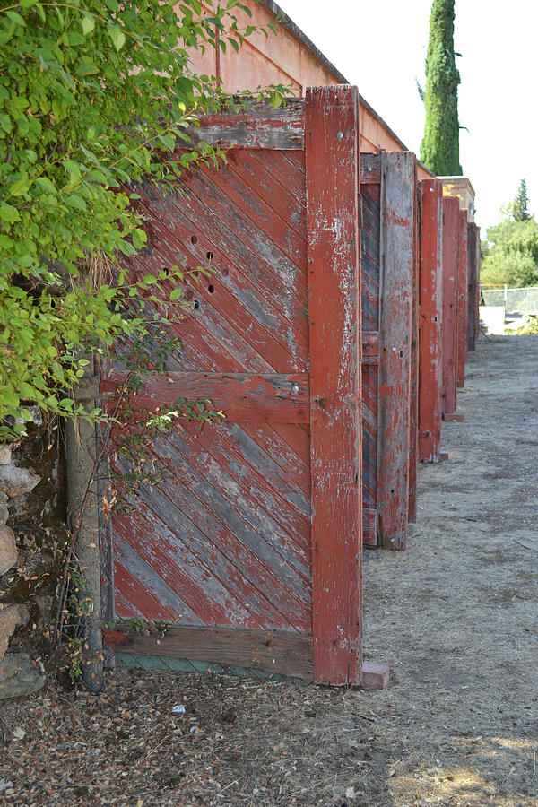 Infinite Red Doors Photograph by Holly Blunkall