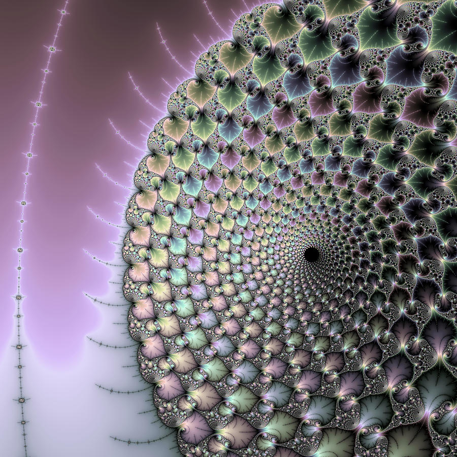 Infinity - beautiful mandelbrot fractal Digital Art by Matthias Hauser