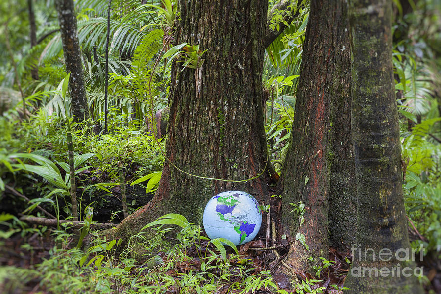 Inflatable Globe in Rainforest Photograph by Bryan Mullennix