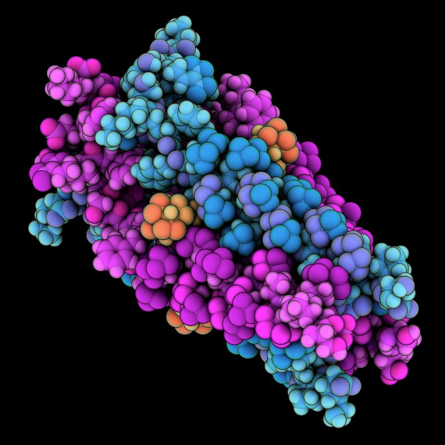 Influenza A Proton Channel Complex Photograph by Laguna Design/science Photo Library