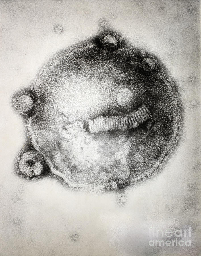 Influenza Ahong Kong Photograph by Joseph F. Gennaro Jr.