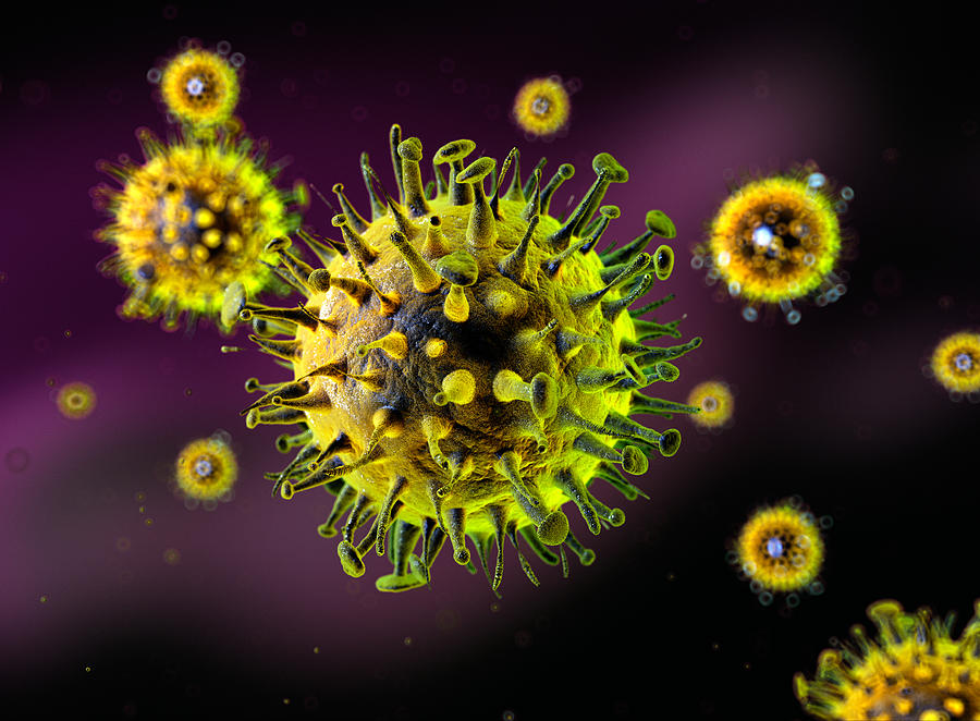 Influenza-like viruses Photograph by Sitox