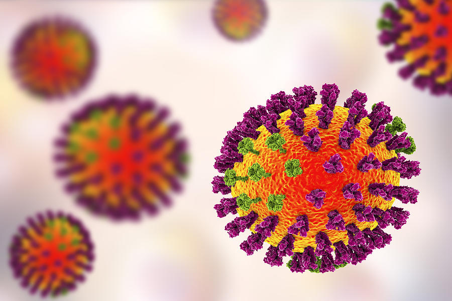 Influenza viruses illustration Drawing by Kateryna Kon/science Photo Library