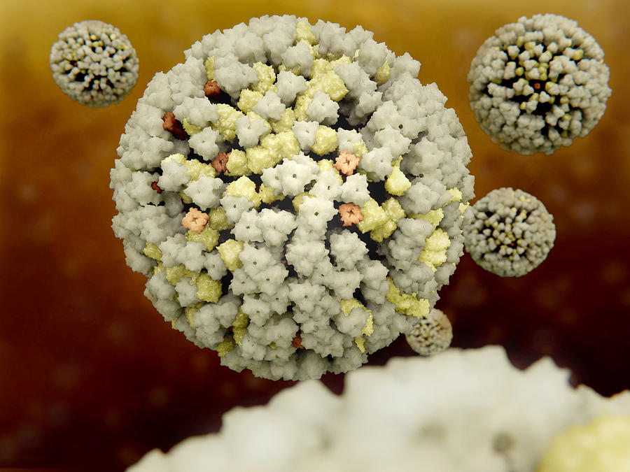 Influenza Viruses Photograph by Juan Gaertner