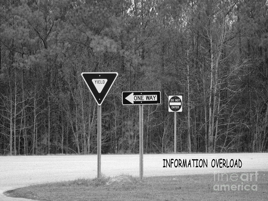 Information Overload Photograph by Bob Sample