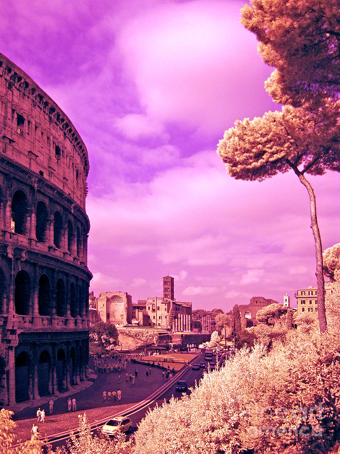 Infra-red Colosseum Photograph by Tim Holt