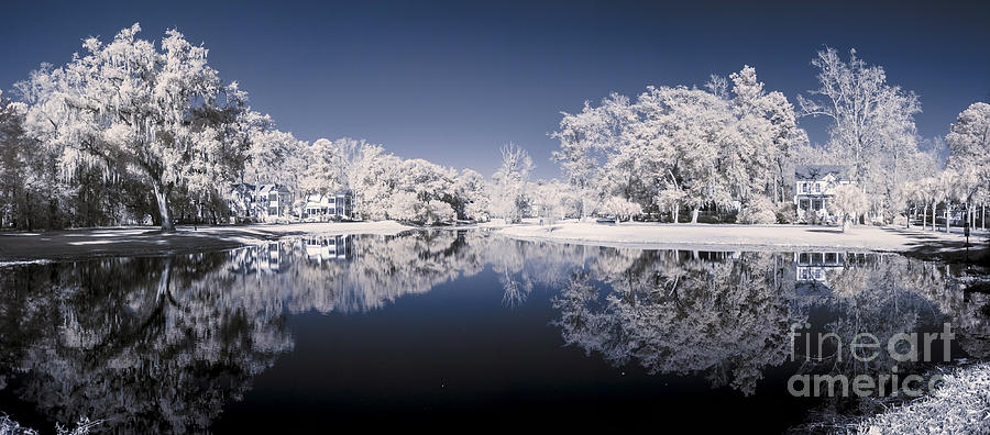 Tree Photograph - Infrared 180 Degree Panorama by John Wollwerth
