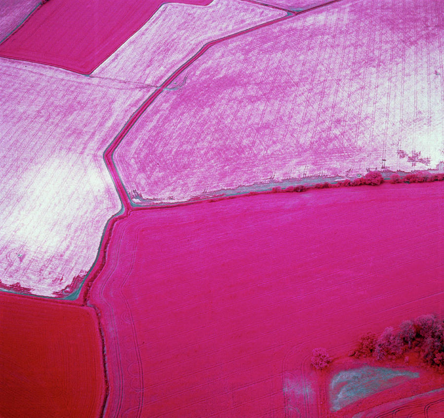 Infrared Aerial Photo Showing Crop Failure Photograph by University Of Cambridge Collection Of Aerial Photographs/science Photo Library