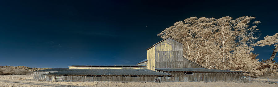 Infrared Barn Panorama Photograph by Greg Nyquist