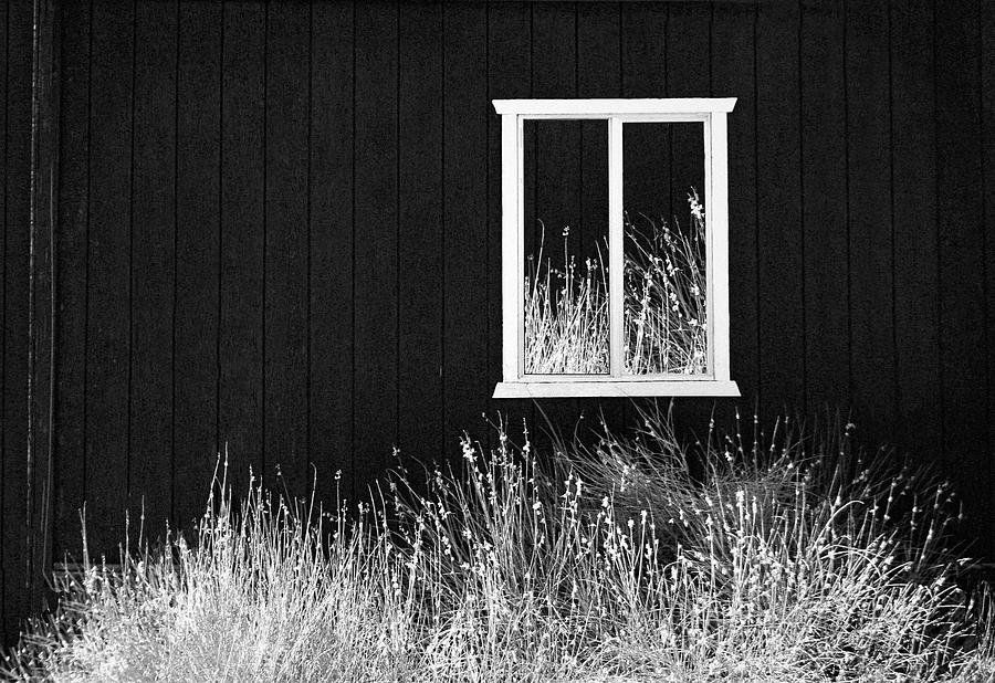 Infrared Barn Photograph by Sharon Beth