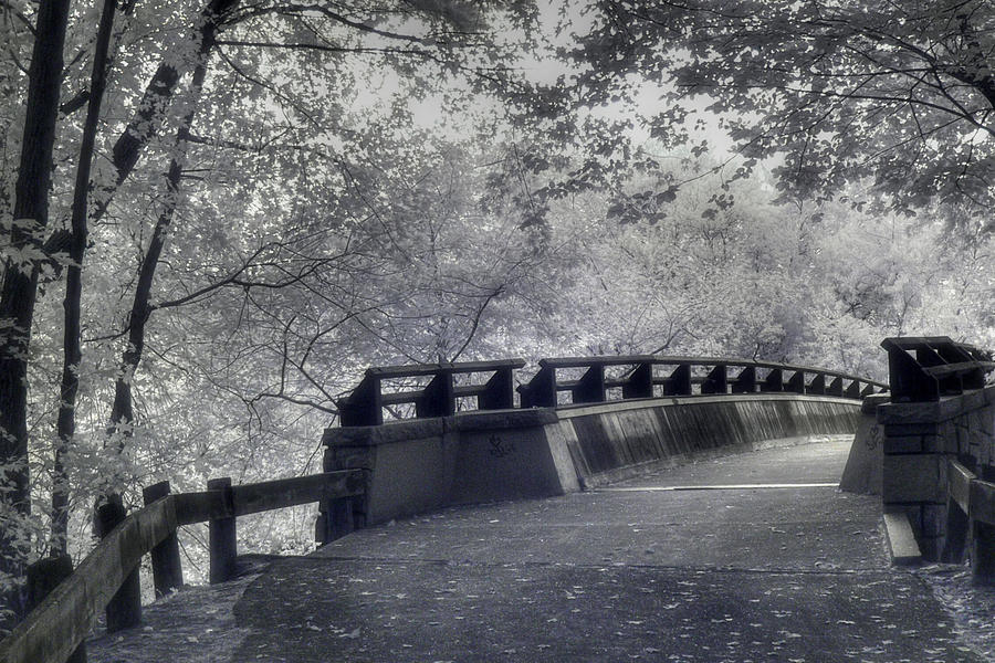 Infrared Bridge Photograph by Joann Vitali
