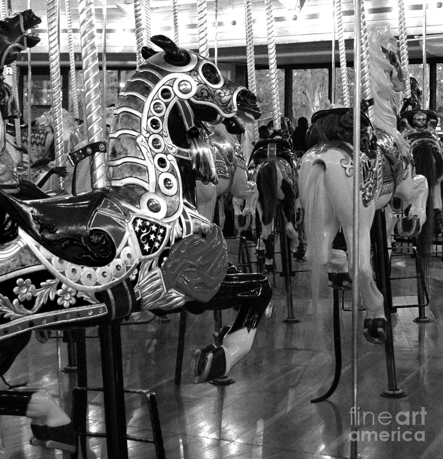 Black and White Carousel Horses Photograph by Jani Freimann