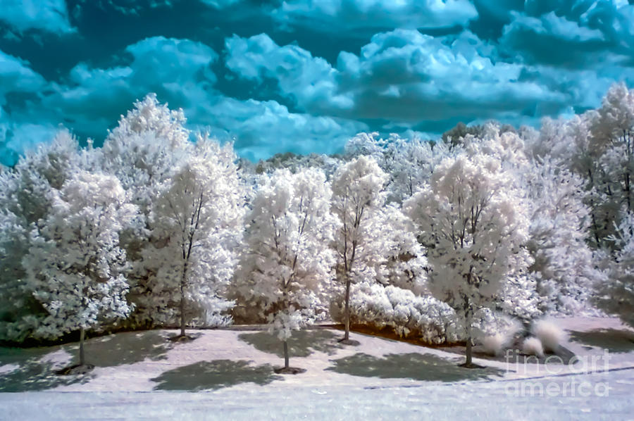 Infrared Country Photograph by Anthony Sacco