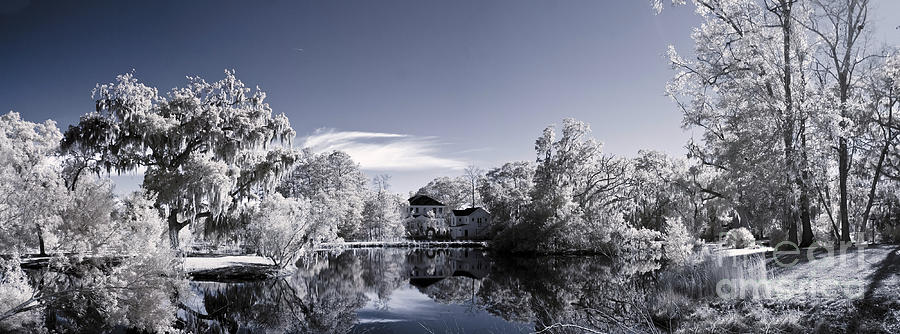 Tree Photograph - Infrared Landscape Of Parkland And Pond by John Wollwerth